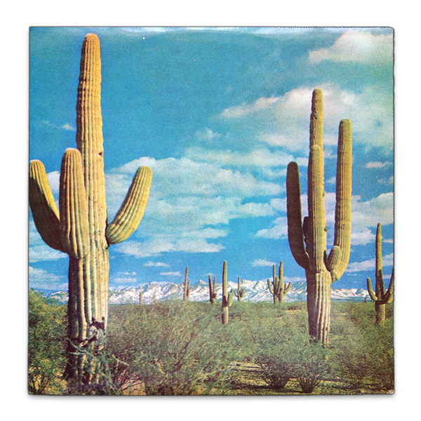 The State of Art is On Fire CD